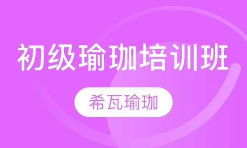 初级瑜珈培训班
