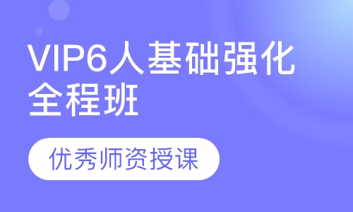 VIP6人基础强化全程班（托福）