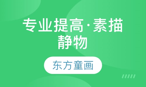 专业提高·素描静物