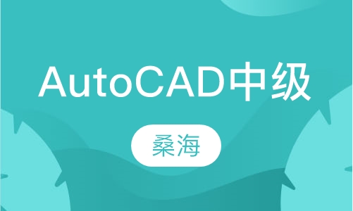 AutoCAD中级