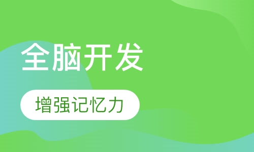 全脑开发