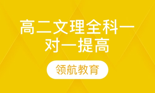 高二文理全科一对一提高