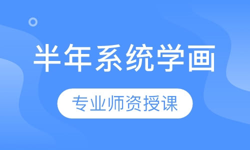 半年系统学画