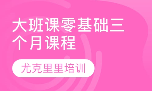 大班课零基础三个月课程