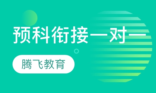 预科衔接一对一