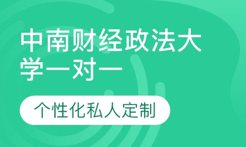 直播课中南财经政法大学一对一考研辅导班