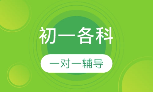 初一各科一对一辅导