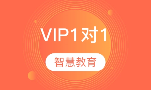 VIP1对1辅导