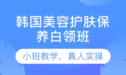 韩国护肤保养白领班