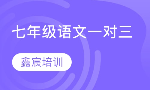七年级语文一对三