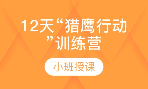 12天“猎鹰行动”训练营
