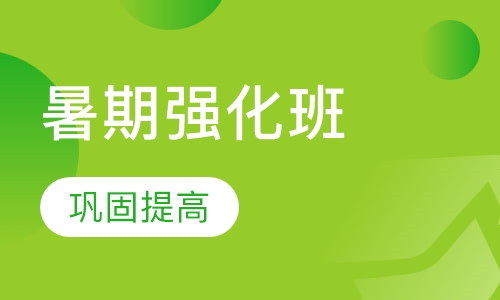 政治暑期强化班