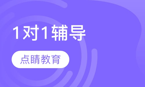 1对1辅导