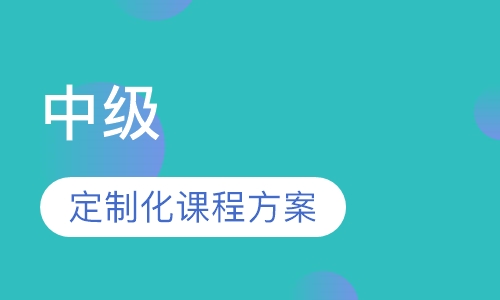 中级 （Intermediate）