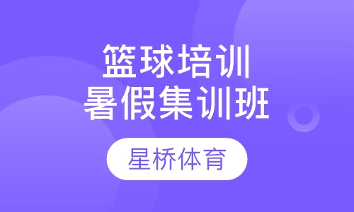 篮球培训暑假集训班