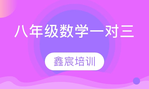 八年级数学一对三