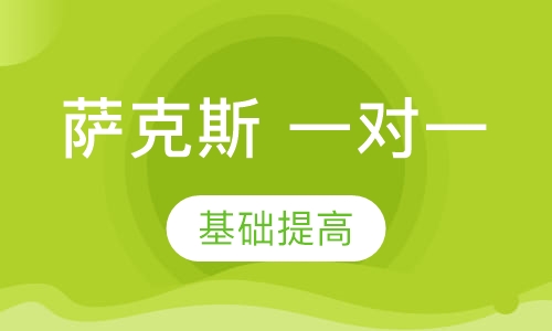 萨克斯 一对一