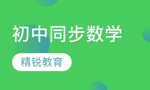 初中同步数学辅导