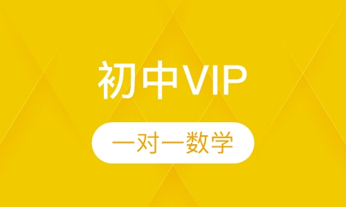 初中VIP一对一数学
