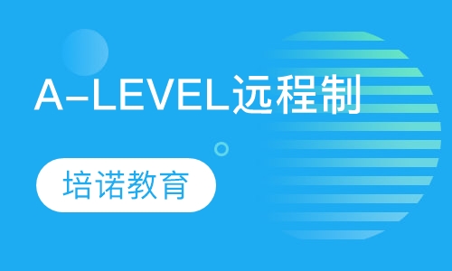 A-LEVEL远程制