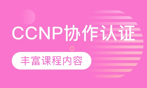 录播课+直播课CCNP协作认证
