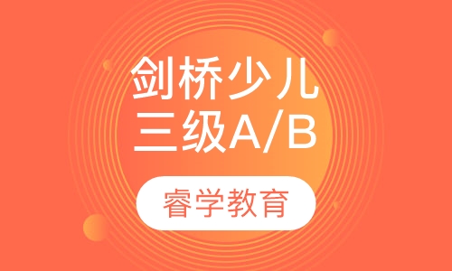 暑假 剑桥少儿三级   A/B