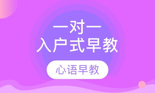 一对一入户式早教