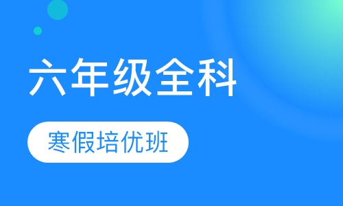 预初寒假全科提升培优班