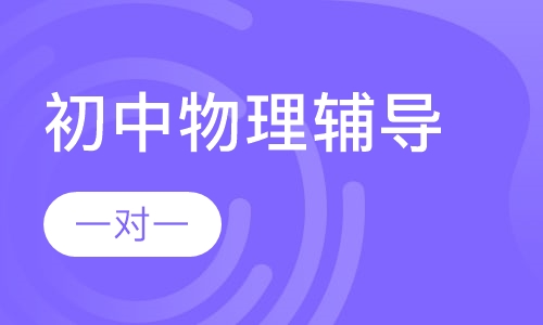 初中一对一物理辅导