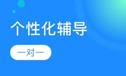 一对一个性化辅导