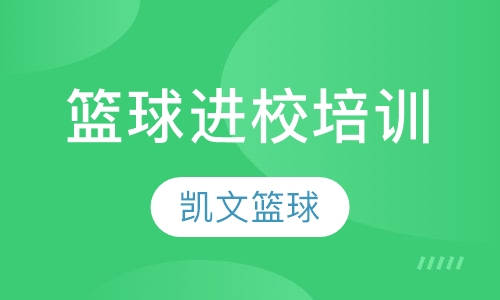 篮球进校培训