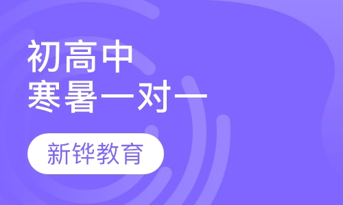 初高中寒暑假一对一辅导
