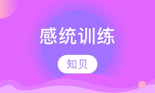 感统训练<幼儿班>