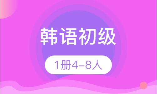 韩语初级1册4-8人精品班
