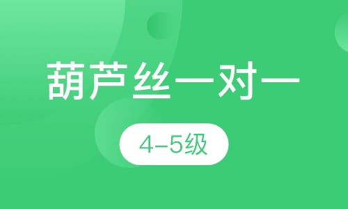 葫芦丝一对一  4-5级