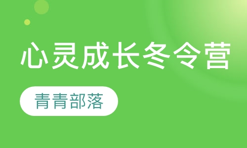 北京5C心灵成长冬令营