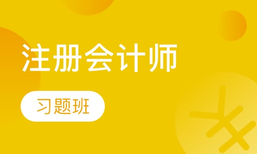 注册会计师习题班