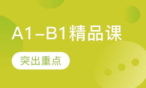 A1-B1精品课程