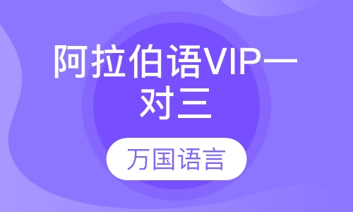 阿拉伯语VIP一对三