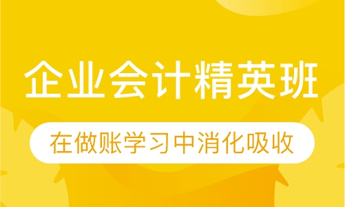 企业会计精英班