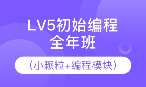 LV5初始编程（小颗粒+编程模块）全年班