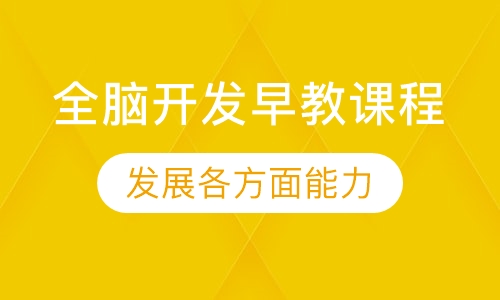 全脑开发早教课程