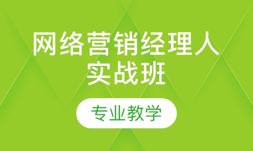网络营销经理人实战班