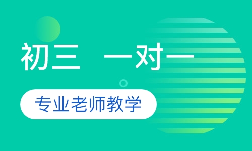 初三 一对一