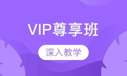 VIP尊享班
