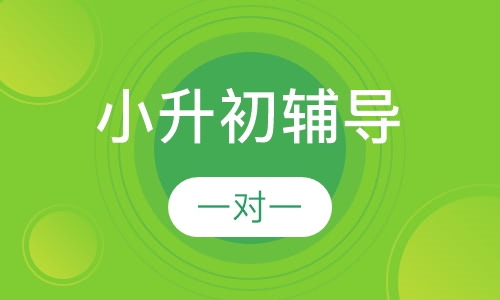 小学小升初辅导