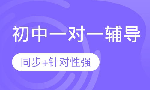 初中一对一