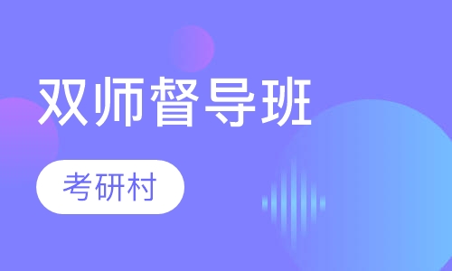 双师督导班