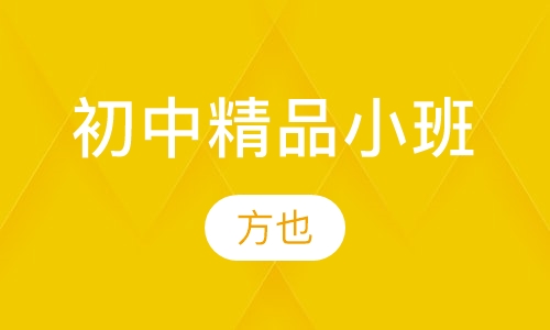 初中精品小班辅导