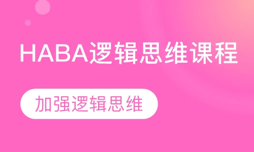 HABA逻辑思维课程